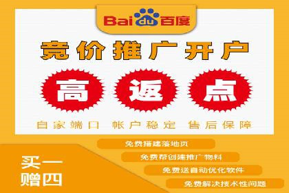 网络推广与竞价优化案例分享